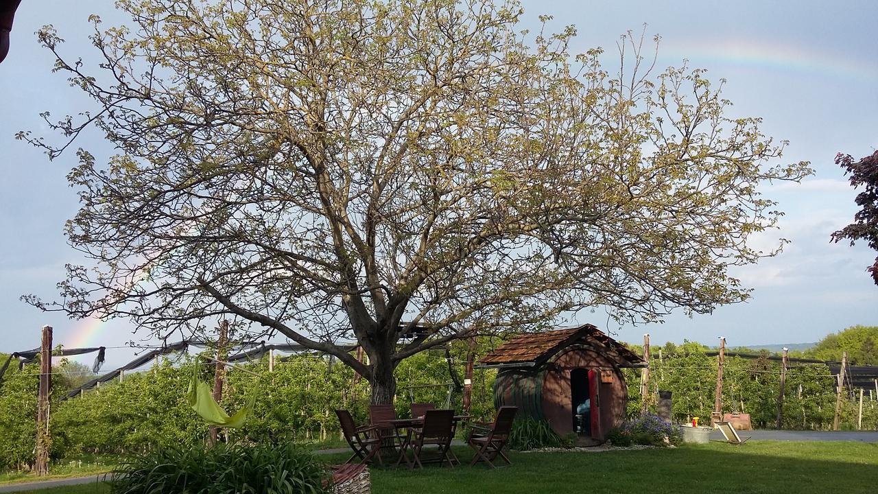 Obstgut Ledinegg Bed and Breakfast Ehrenhausen Eksteriør billede